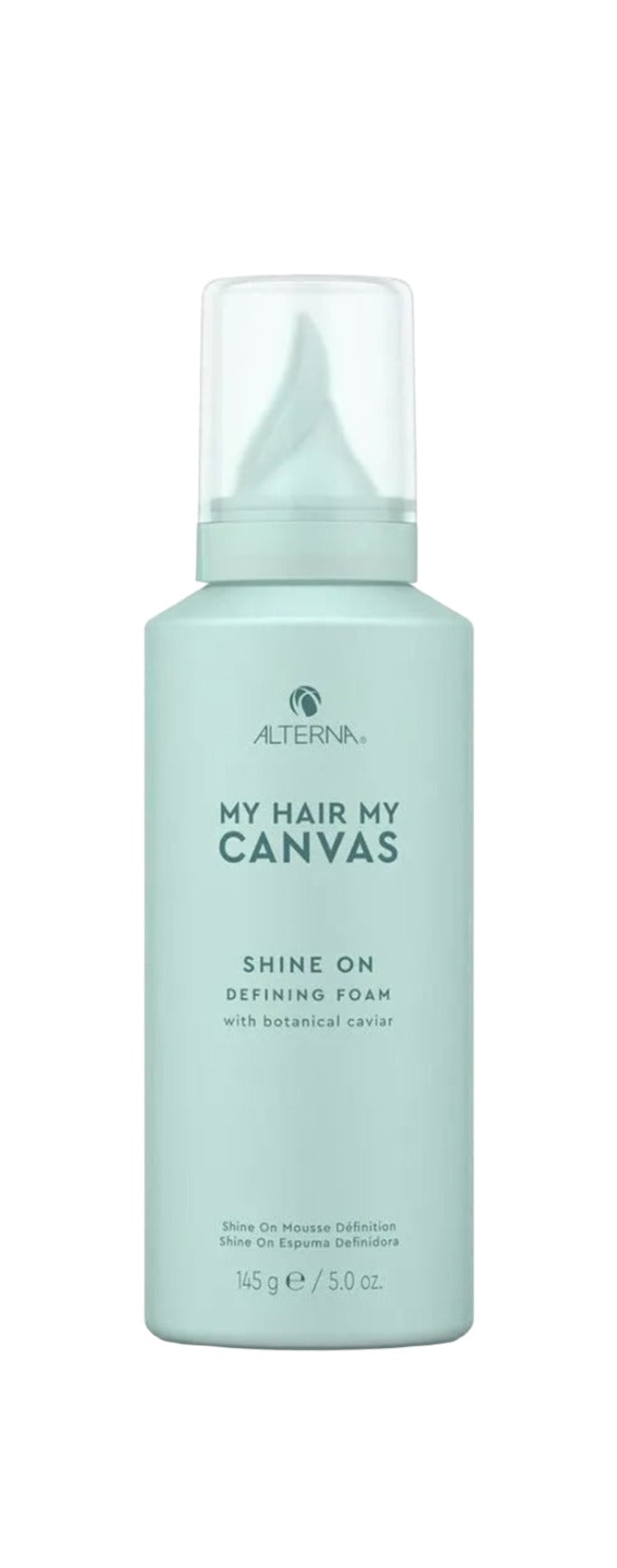 My Hair My Canvas Shine On Defining Foam 145g